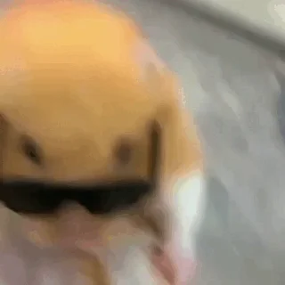 🐹