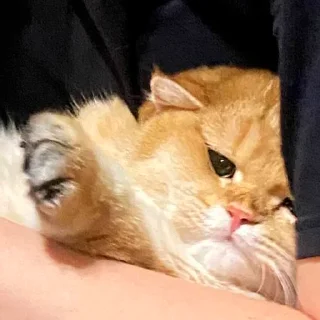 😔