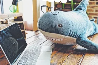 😎