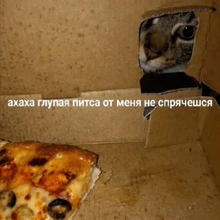 🍕