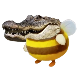 🐊