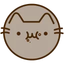 🐱