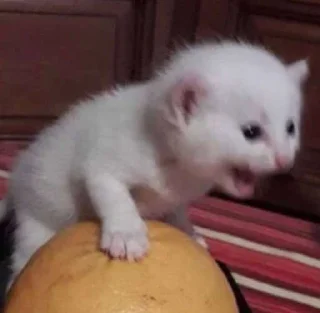 😨