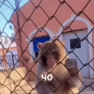 😒