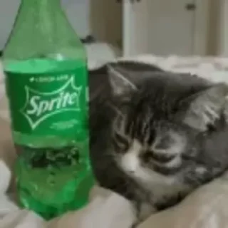 🙂