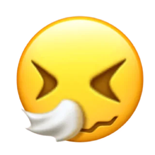 🤧