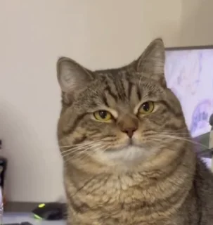 😬