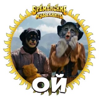 🙀