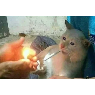 😢