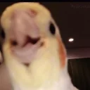 😄