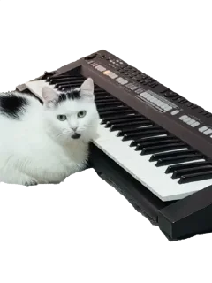 🎹