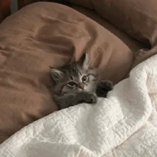 🌛