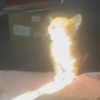 ☀️