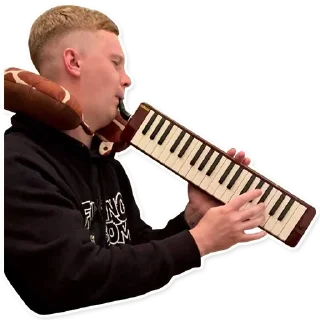 🎺