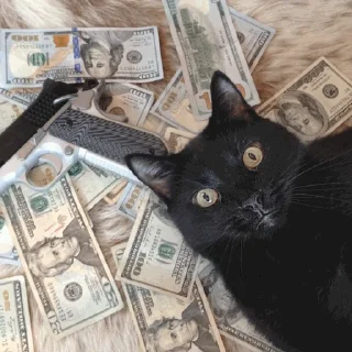 💸