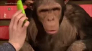 🐵