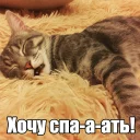 💤