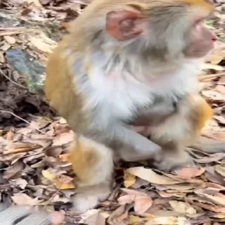 🤬