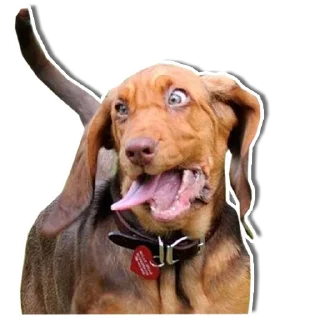 🤪