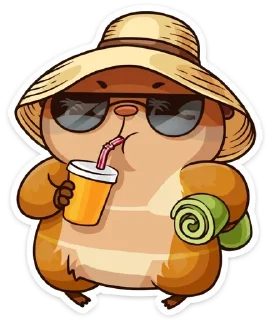 😎