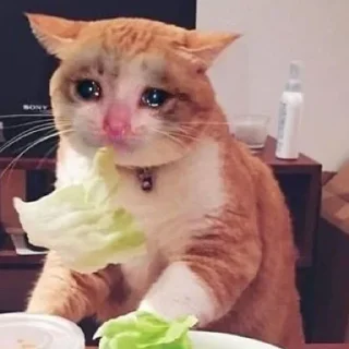 😭