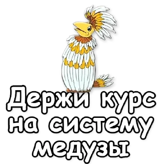 😎