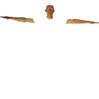 🌟