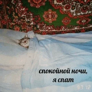 😴