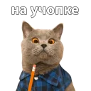 🎒