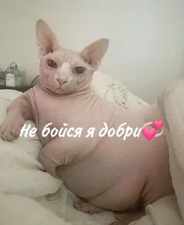 🥰
