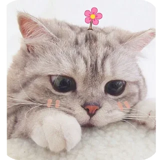 🥰