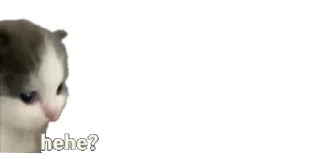 🙁