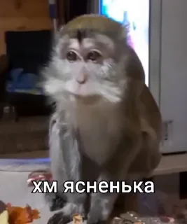 🌟