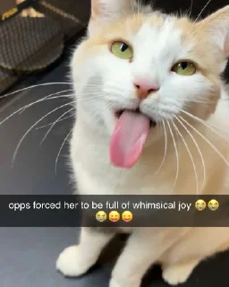 😛