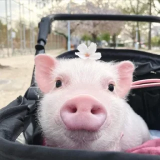 😇