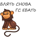 🐒