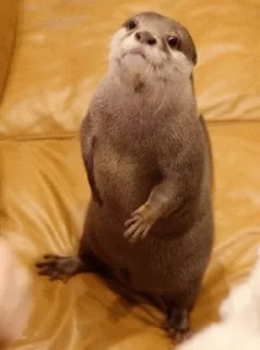 😧