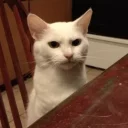 😂