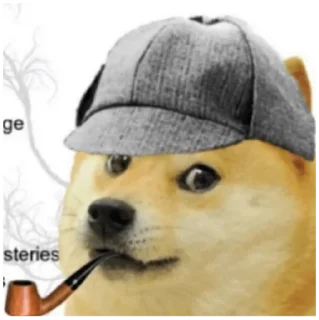 🕵‍♂