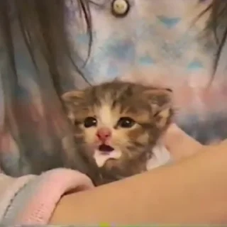 🤤