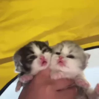 ❤️