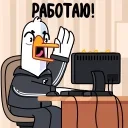 👨‍💻