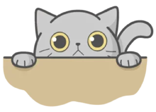 Stickers with Cat @stickersb2b