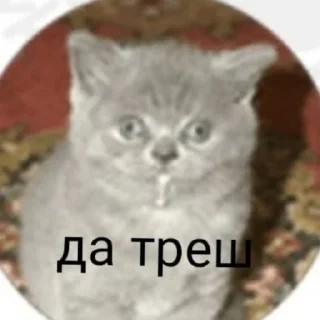 🤐