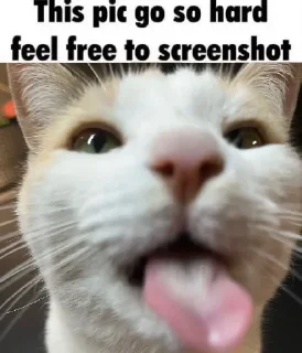 😛