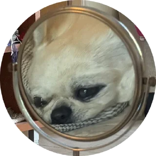 🫠