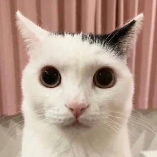 😐
