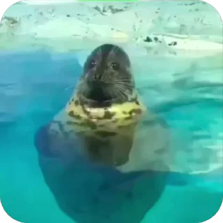 😨