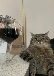🍷