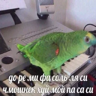 🖕